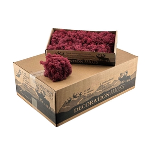 Ijslandsmos Bordeaux