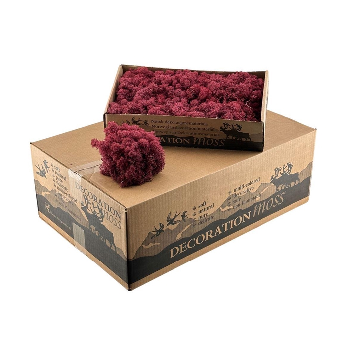 <h4>Ijslandsmos Bordeaux</h4>