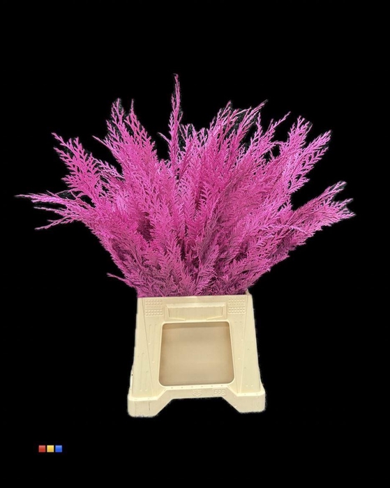 <h4>Conifers DYED Cerise</h4>
