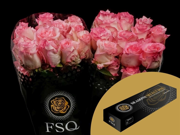 <h4>R GR Boulevard Box</h4>