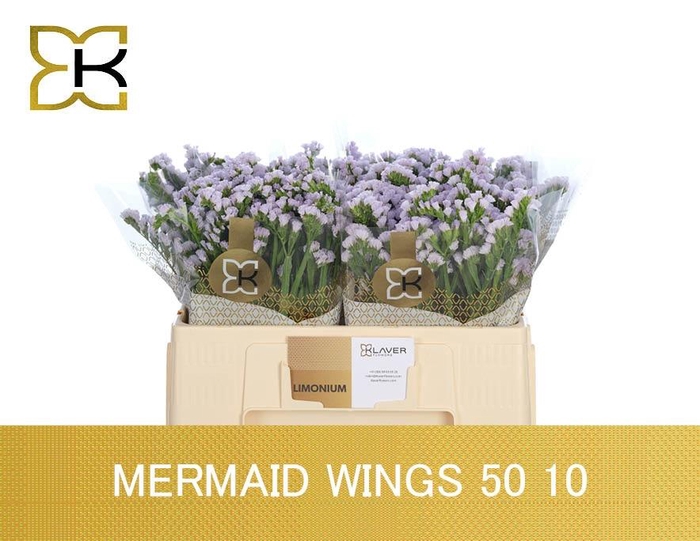 <h4>LIM S MERMAID WINGS</h4>