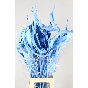 DF Strelitzia Leaf Light Blue