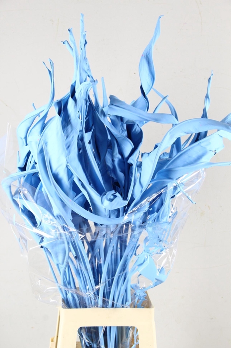 <h4>DF Strelitzia Leaf Light Blue</h4>