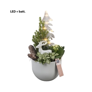 BMCE3210 Arrangement By Marleen Christmas Exclusives in keramiek pot