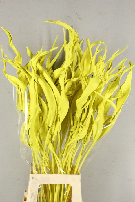 <h4>DF Strelitzia Leaf Yellow</h4>