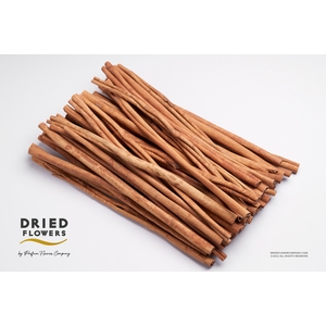 Dried Deco Cinnamon Sticks 40cm