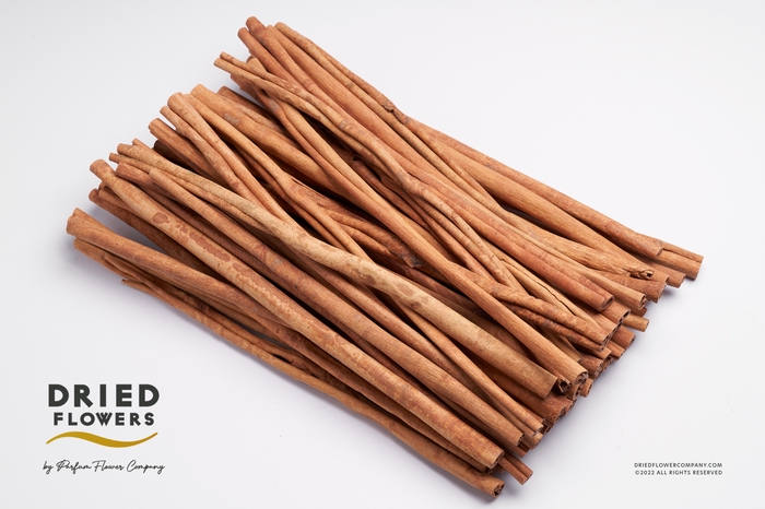 <h4>Dried Deco Cinnamon Sticks 40cm</h4>