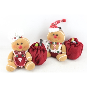 arr4 Hyacint RN - Ginger en Gingerella