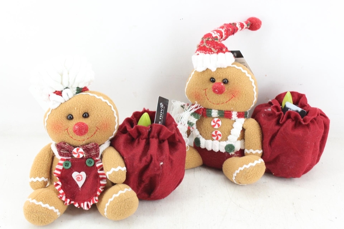 <h4>arr4 Hyacint RN - Ginger en Gingerella</h4>