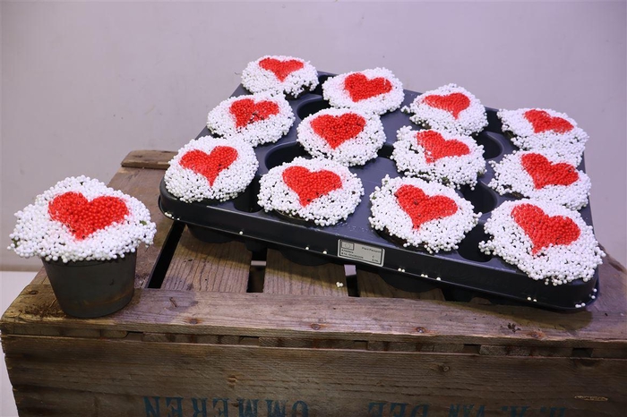 <h4>arr8 Nert Gr Love Design</h4>