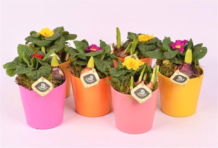 <h4>Keramiek pot pas 12 mix</h4>