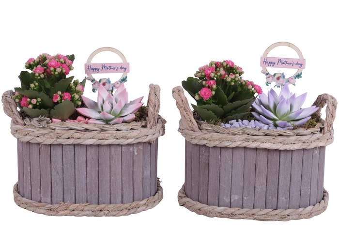 <h4>Mothersday Arr. Indoor Wooden Pot Oval Waterhyacint Rim ø22cm2PP</h4>