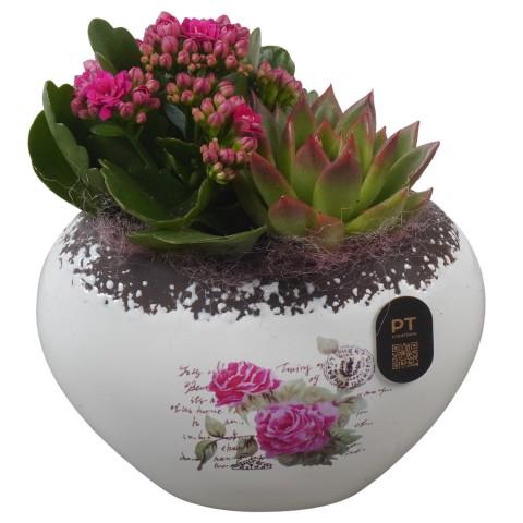<h4>PTIB5203 Arrangementen kamerplanten</h4>