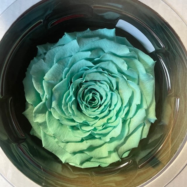 Roos XXL blu-02