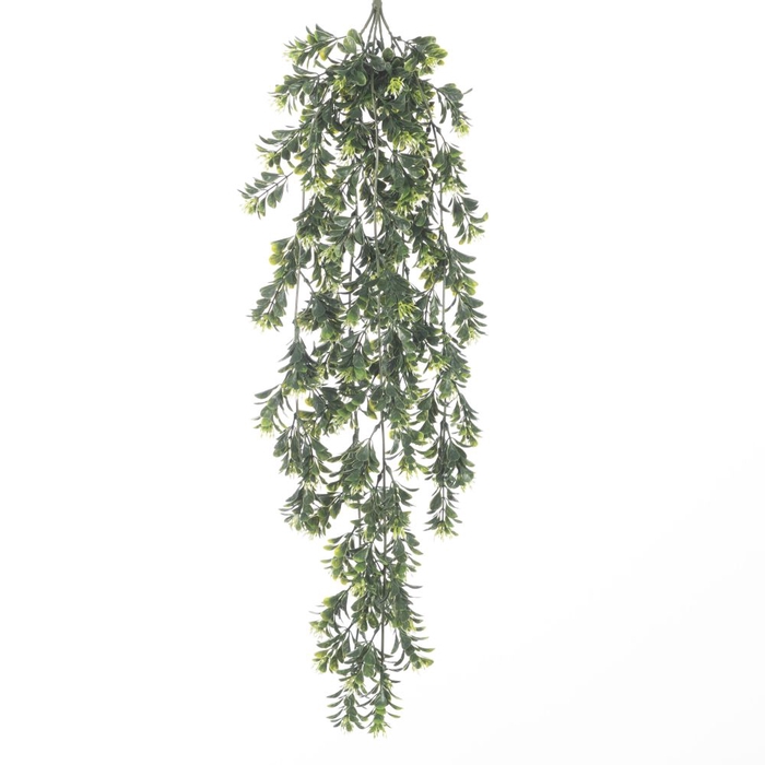 <h4>Af Hang Bush Boxwood/berry X5</h4>