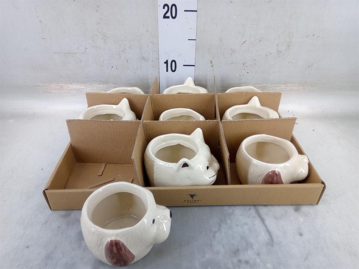 <h4>Pot   ...Keramische H%</h4>