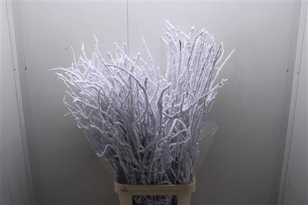 <h4>Berk 120cm Sneeuw</h4>