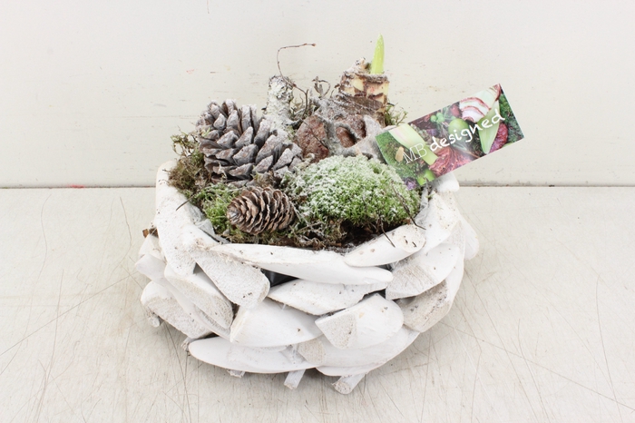 arr.. Amaryllis MB - Schijven krans