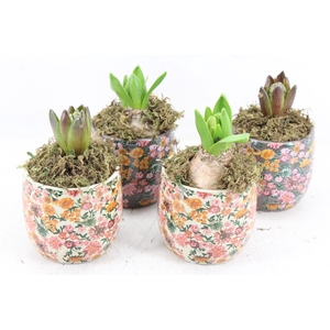 arr4 Hyacint FL - Soap Dispenser