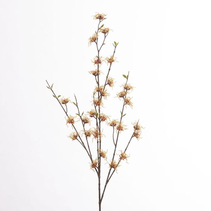 <h4>AF Hamamelis L121cm Yellow</h4>