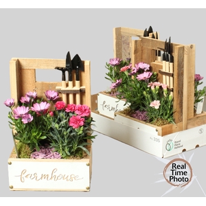 ARR TUINPLANTEN