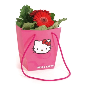 Gerbera belicht 2+ in Hello Kitty hawai