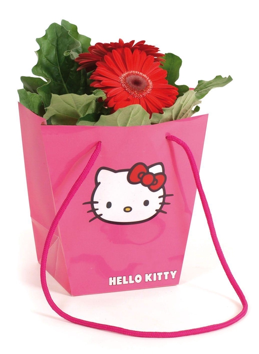 <h4>Gerbera belicht 2+ in Hello Kitty hawai</h4>