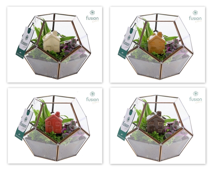 <h4>Geometrisch planter Medium met groenen planten arrangement</h4>