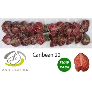 ANTH A CARIBEAN 20 Flow Pack