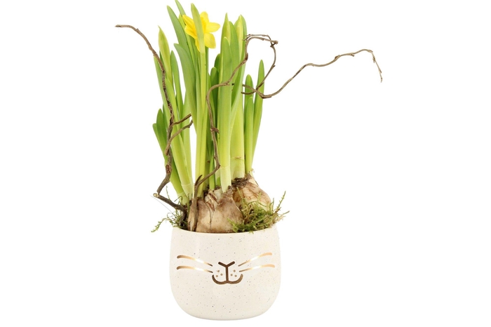 <h4>70727: Easter arrangement</h4>