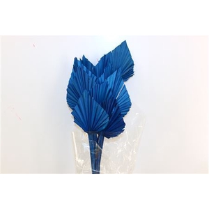 Dried Palm Spear 10pc Dark Blue