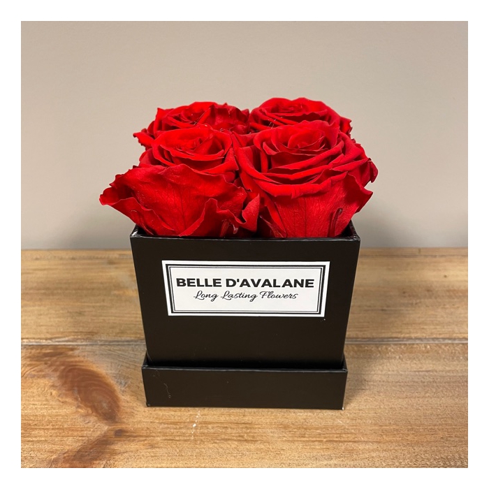 <h4>Box vk 10cm zwart-rood</h4>