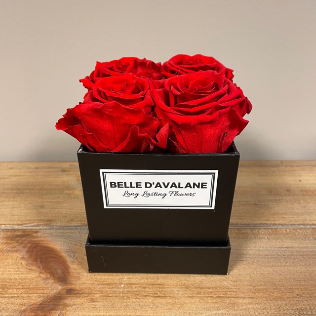 <h4>Box vk 10cm zwart-rood</h4>