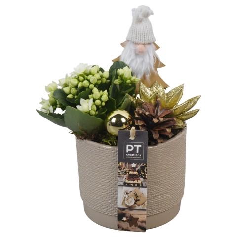 <h4>PTCHG5617 Arrangementen Kerst</h4>