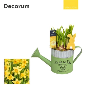 Narcis Gieter Mini HL18555