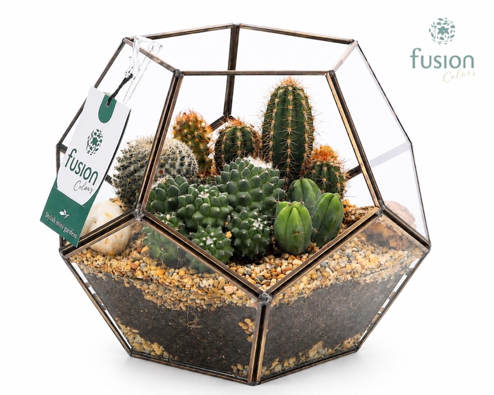 <h4>Geometrisch planter Large met Cactus arrangement</h4>