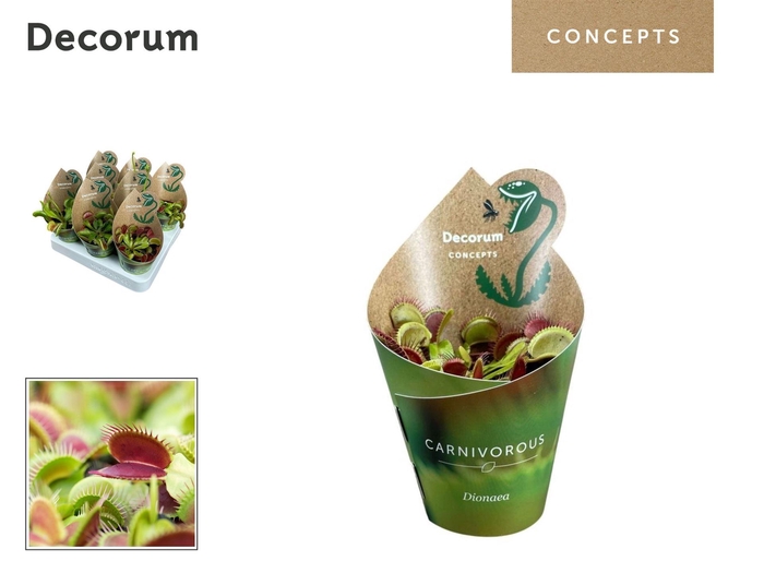 <h4>Vleesetende planten</h4>