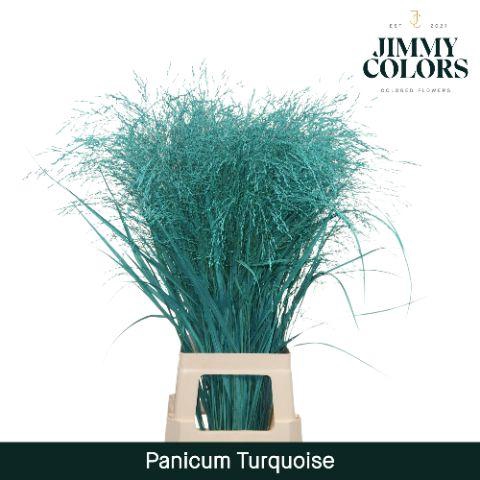 <h4>Panicum L90 Turquoise</h4>