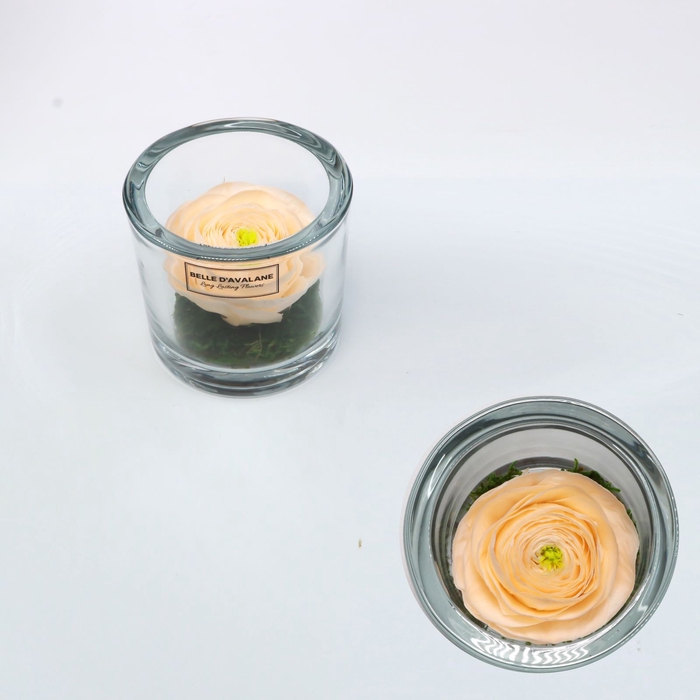 Cilinder d9x8h ranunculus cha-89 glas