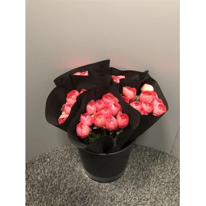 Ran Suc Fragolino Sup