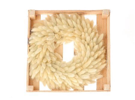 Wr Lagurus Bleached D30