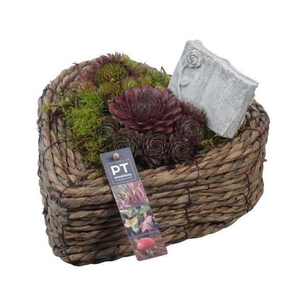 <h4>PTAH8673 Arrangement Allerheiligen in rieten hart</h4>