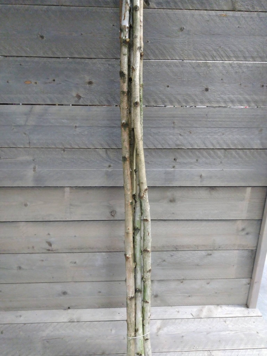 KRANZ 21 RINDE-MOOS 30CM
