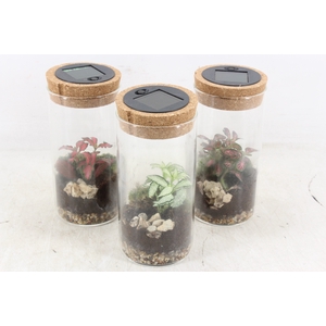 arr3 WR - Terrarium Serius M LED