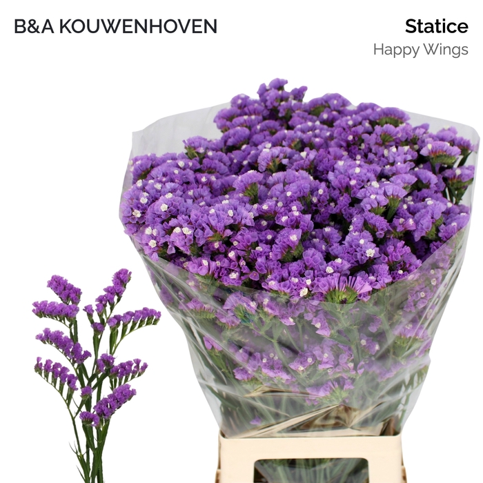 <h4>LIM S HAPPY WINGS</h4>