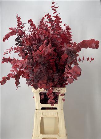 <h4>Dr Stab Stuart Red Xxl Matt Rosso</h4>