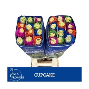 R Gr Tinted Cupcake Mix