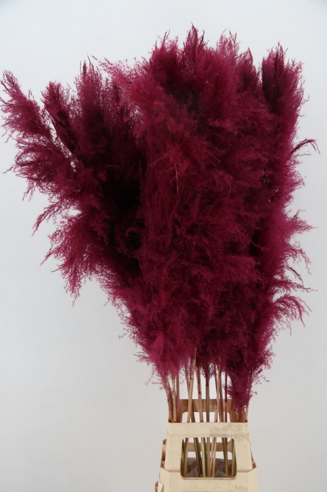 <h4>DROOGBL BEWERKT H%</h4>