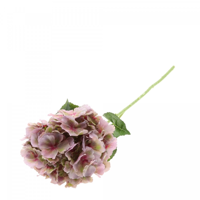 <h4>Kunstbloemen Hydrangea 80cm</h4>