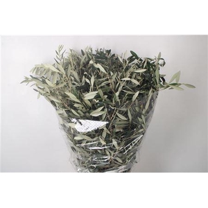 Olijf Per Bunch 400 Gram